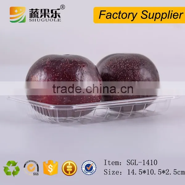 Tray Type and Blister Process Type Disposable Fruit Tray photo-2