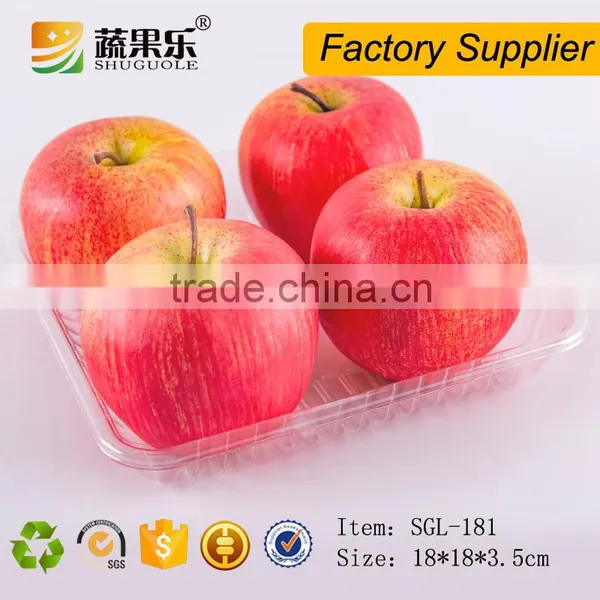 Disposable Clear Blister PET Plastic Tray photo-2