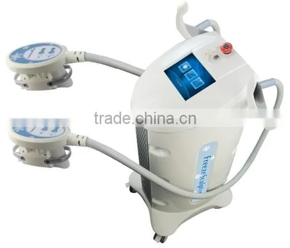 Freeze Fat Therapy Body Slimming Sulptor Lipo Freeze Machine photo-4