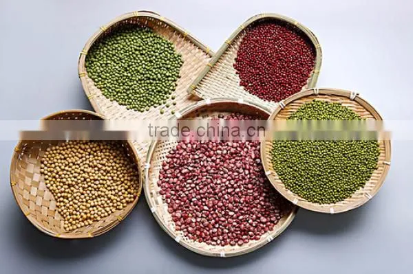 Adzuki Bean photo-5