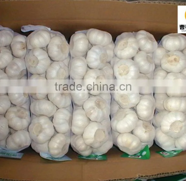 China New Crop Dried White Garlic