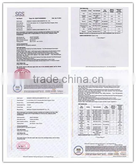 Common Chitosan photo-6