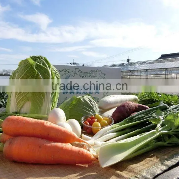 Reliable Vegetable Fermented Enzyme Supplement for Beauty and Health photo-2