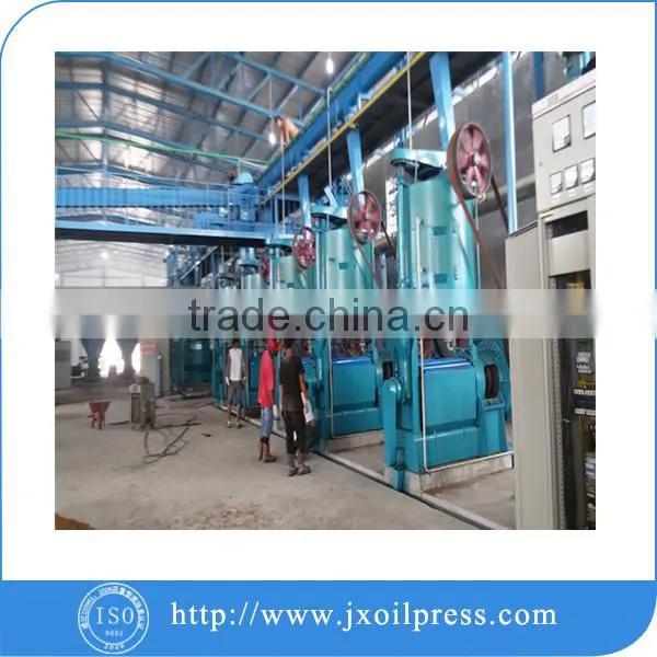 Processing Different Seeds Rapeseed Oil Plants in Europe photo-2