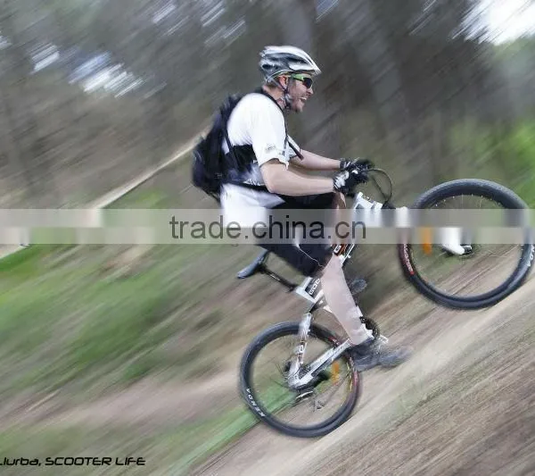 ELECTRIC Bicycle