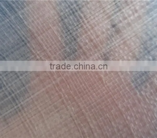 Durable Transparent pe Tarpaulin, Clear Mesh pe Tarpaulin Fabric photo-3