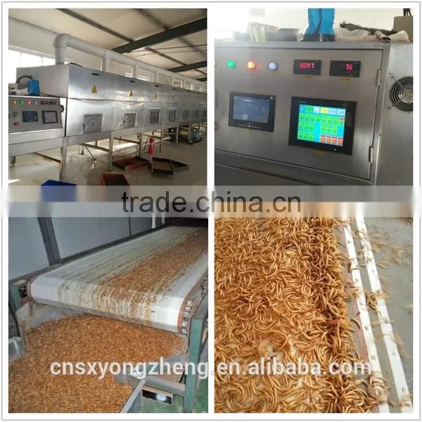 Factory Price Microwave Dried Pet Food Yellow Mealworms;Microwavce Dried Tenebrio Molitors For Pet photo-3