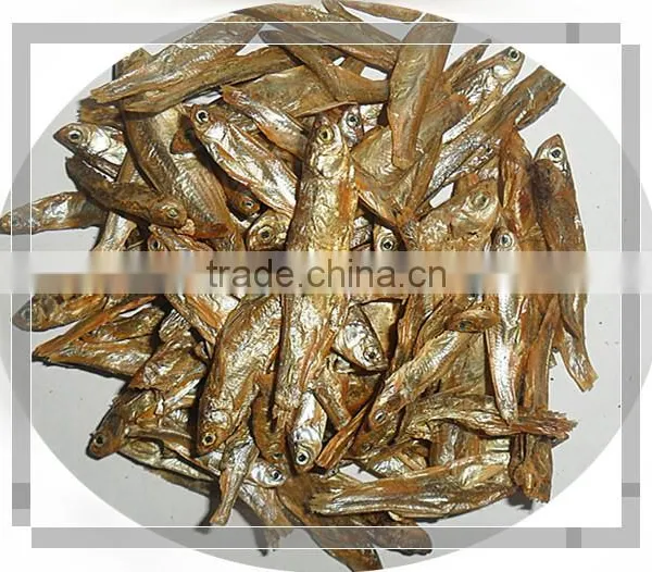 Pet Products Pet Food Pet Nutrition and Health Care Dried Fish photo-2