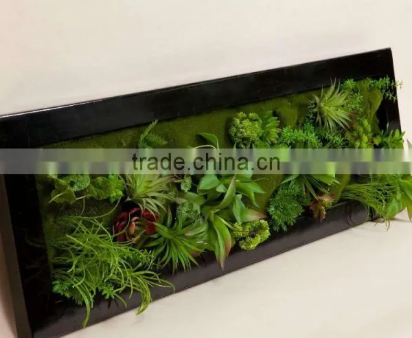 Fashion Wall Hanging Plants photo-5