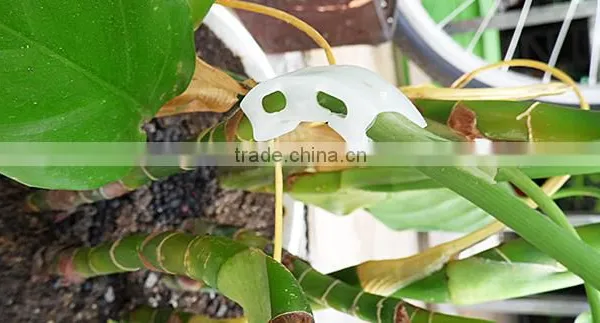Clear Tomato Grafting Plant Clips photo-3
