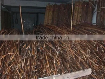 Raw Rattan Cane, Rattan, Cane, Rattan Meterial, Raw Material, Rattah Raw Mateiral, Rattan Cane, Rattan Pole, Pole, Raw photo-3