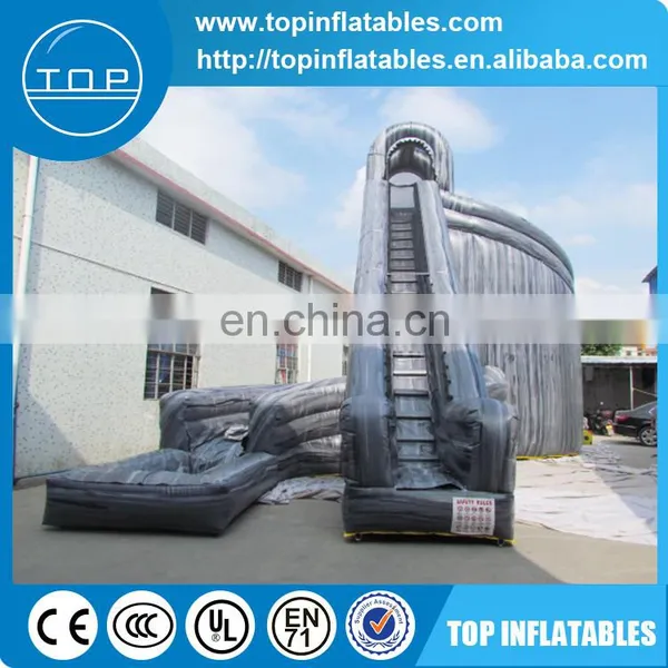 Factory Supply Giant Gray Tattoo Inflatable Water Slide for Adult and Kids photo-3