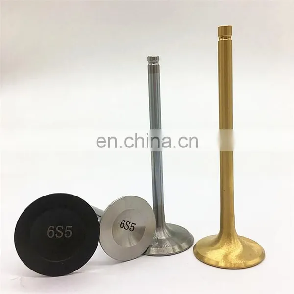 Automobile 3sgte 3sge 4age 2jz 2jzgte 24v 20v 16v 1fz 1nzfe for Toyota Springs Kits Single and Double Ferrea Engine Valves Kits photo-5