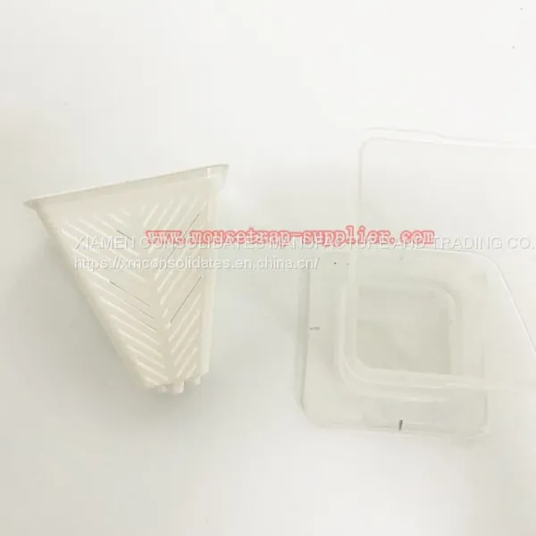 Reusable Plastic Fruit Fly Live Catch Trap Insects Bug Catcher photo-3