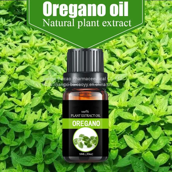 Oregano Oil Essential Oil Feed Additives Raw Material for Medicine