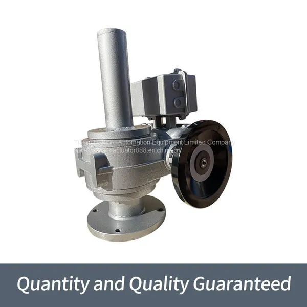 Bernard Angle Stroke Electric Actuator BDZ-45F1250L Strongly Sealed Electric Flow Valve photo-2