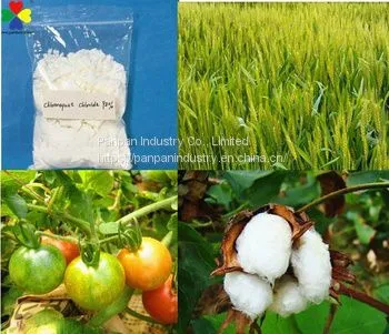 China Manufacture Good Pesticide Ccc Foliar Fertilizer Chlormequat Chloride 98%tc photo-3