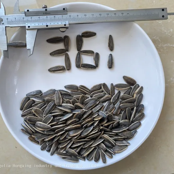 Sunflower Seeds Raw in Shell