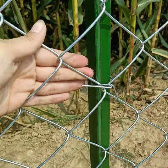 Galvanized Chain Link Fence With 2.5mm Wire Diameter and 50mm Mesh Size photo-4