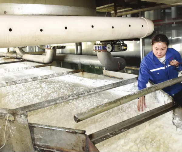 Beet Sugar Processing Line photo-4