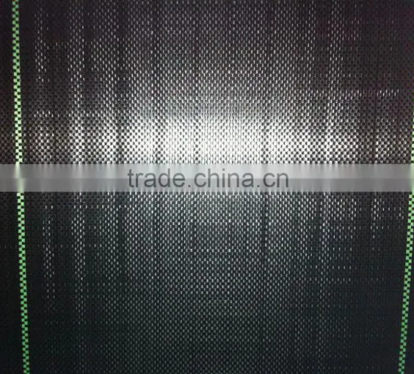 pp Woven Ground Cover Supplier photo-5