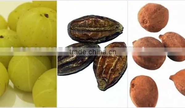 Best Quality Triphala Powder Manufacturer photo-3