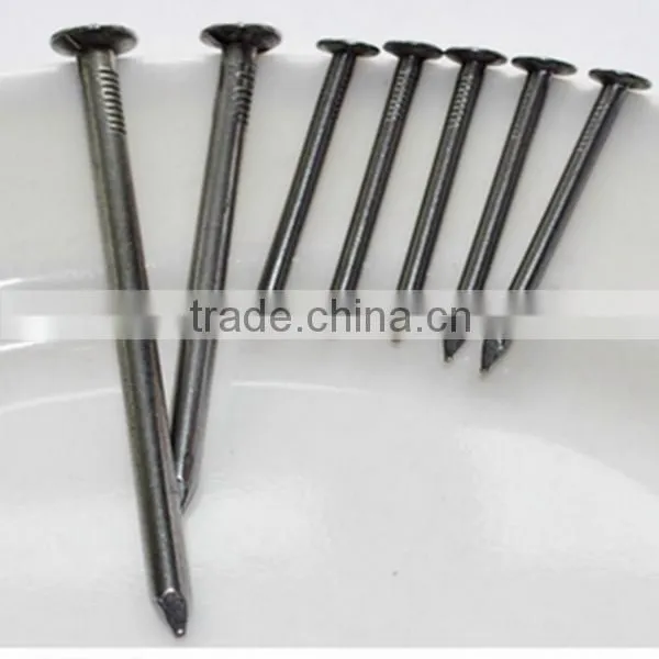 Best Quality Common Nail Common Wire Nails Price photo-6