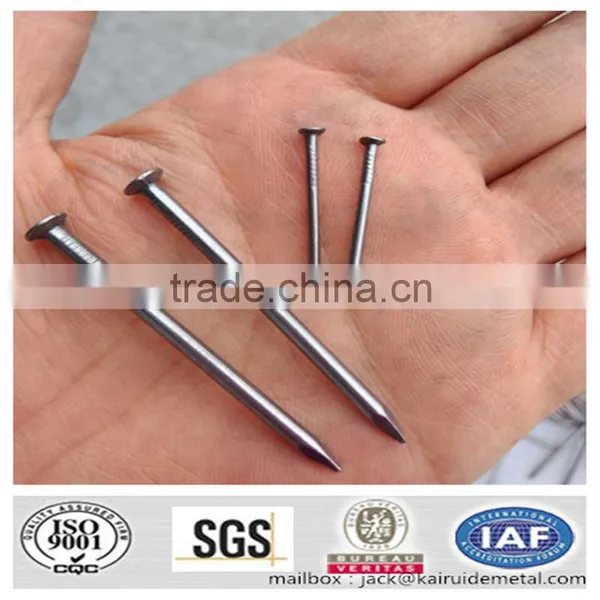 Hot Sale Manufacturer 1-6 Inch Common Nail Galvanized Nail photo-2