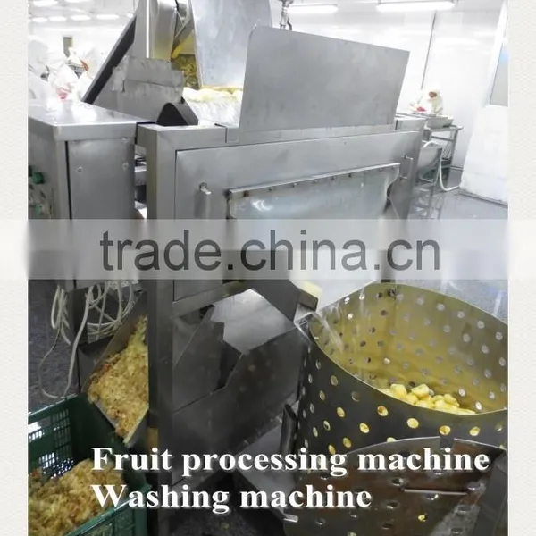 Impurity Removing and Cleaning Machine / Fruits and Vegetables Cleaning Machine photo-4