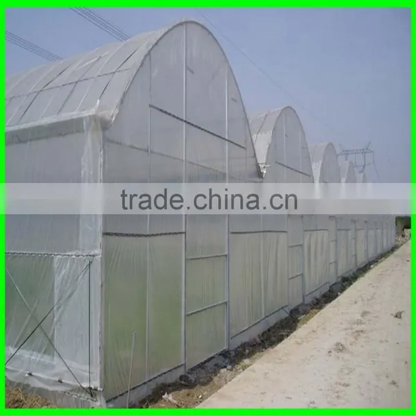 Lightweight Greenhouse Anti Insect Net for Agriculture photo-2