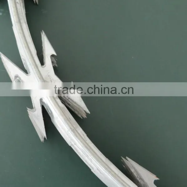 CBT-60/65 Single Coil Razor Wire photo-5