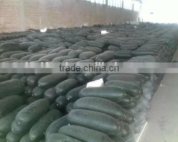 Chinese Fresh Winter Melon Fresh Wax Gourd Export photo-4