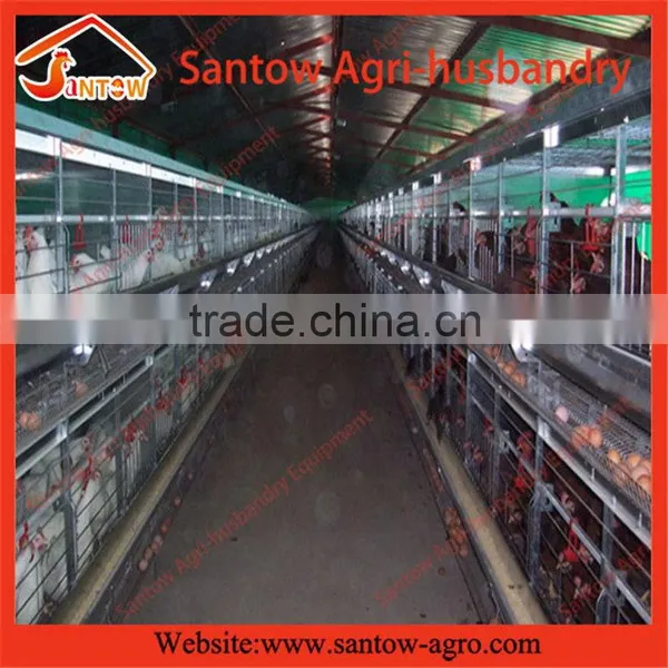 Stable Steel Structure Professional Chicken Egg Layer Cage Chicken Egg Layer House photo-2