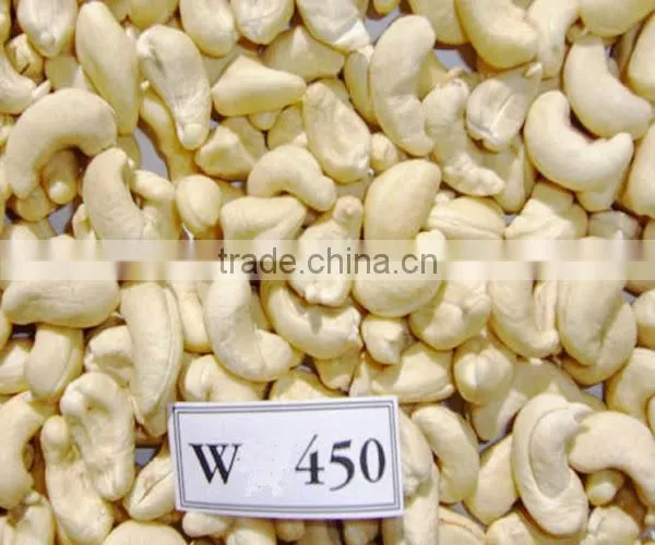 Cashew Nut WW450 for Exporting photo-3