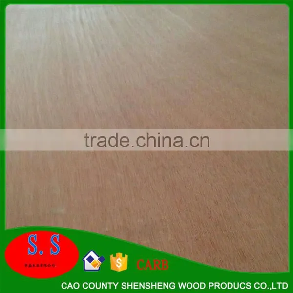 Cheap Paulownia Lumber Prices Paulownia Board Edge Glued Panels for Wooden Coffin Blockboard Machine photo-3