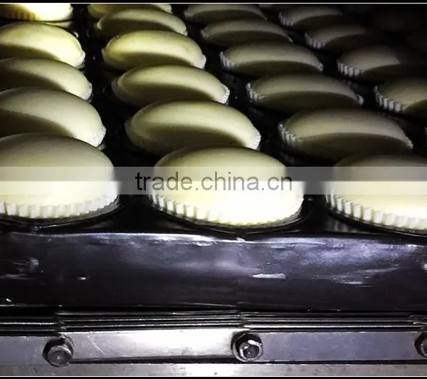 Saving Space Gas Wafer Production Line Tunnel Steam Oven Factory photo-2
