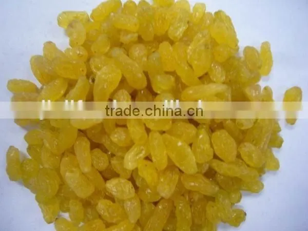 2015 Crop Golden Raisin With High Quality and Competitive Price. photo-2