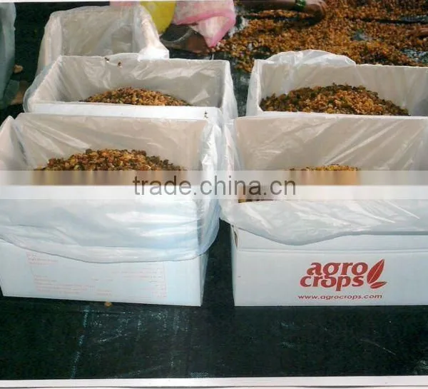 Raisin photo-2