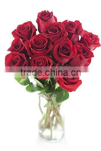 Natural Rose Flower