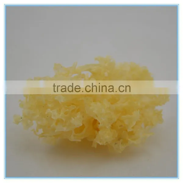 Dried Tremella White Fungus
