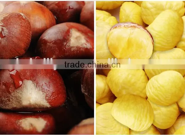 30-40 40-60 2015 Hot Sell Sweet Fresh Chestnuts photo-3