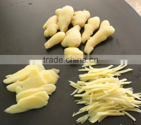 FC-502 Hot Sale Potato Chips French Fry Machine photo-6