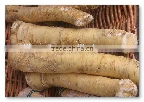 Dry Horseradish photo-4