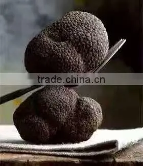 Frozen Truffle photo-2