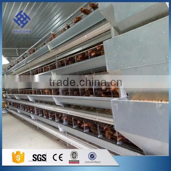 30 Years' Factory Supply Automatic Chicken Broiler Cages photo-6