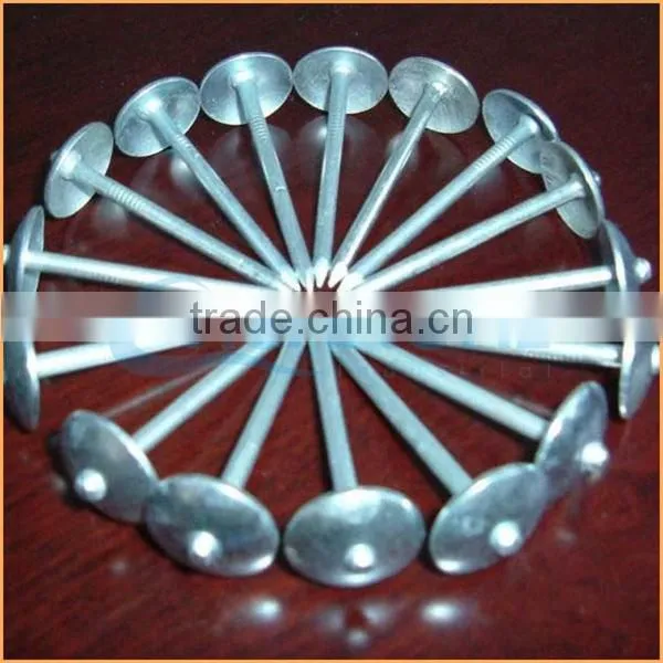 Top Quality Construction Common Roofing Nail Iron Nail Quality Assured Trusted Chuanghe Suppliers From Com photo-6