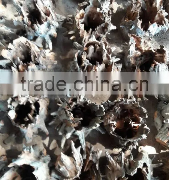 Aquarium Driftwood Root photo-4