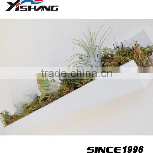 Wholesale Plant Pot Metal Living Room Wall Decor photo-2