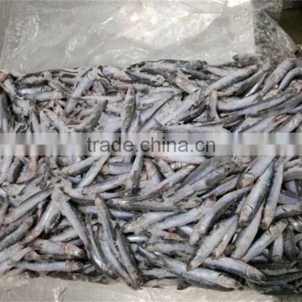 Sea Frozen Whole Anchovy photo-2