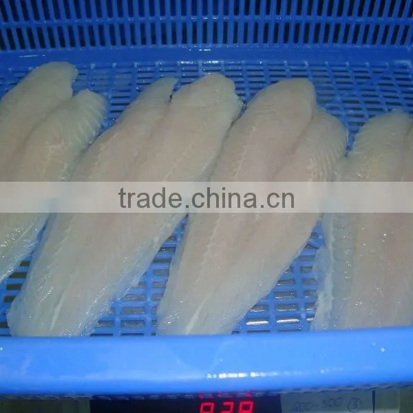 Pangasius Fillet photo-2